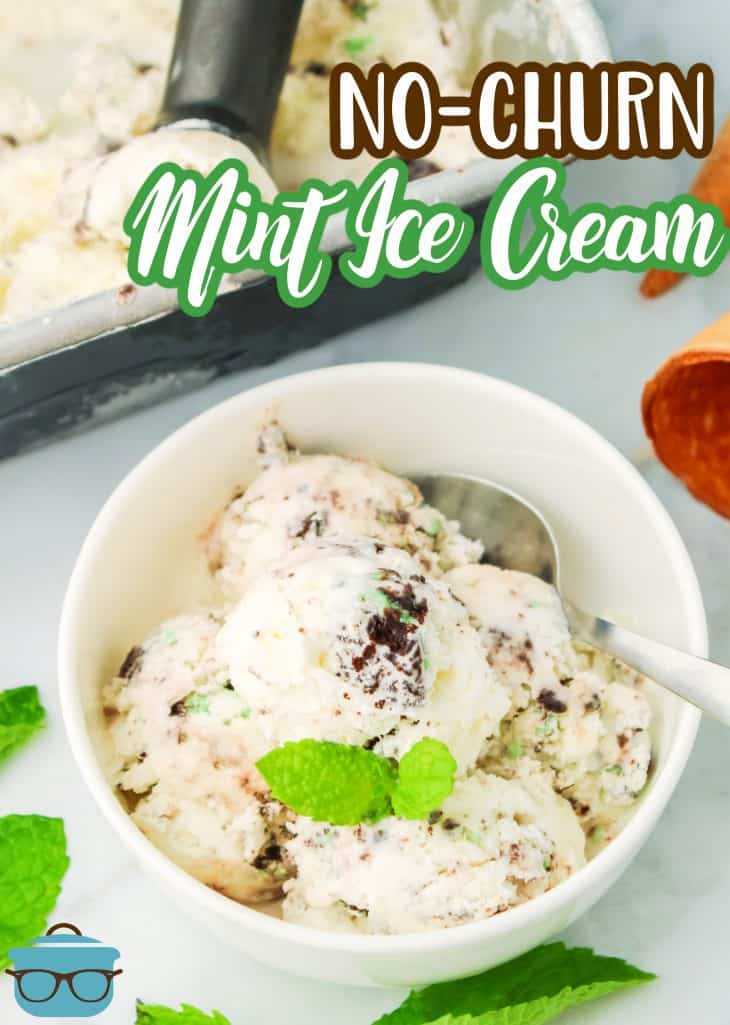 Bowl of No-Churn Mint Ice Cream garnished with a small mint leaf