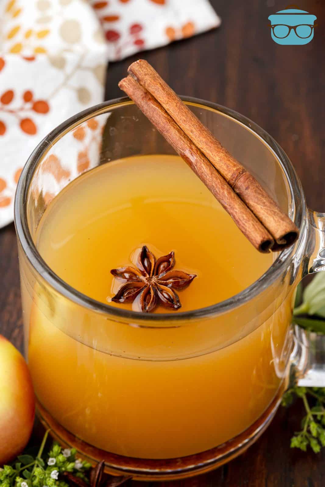 Warm Apple Cider Cocktail in glass with star anise and cinnamon stick on rim.