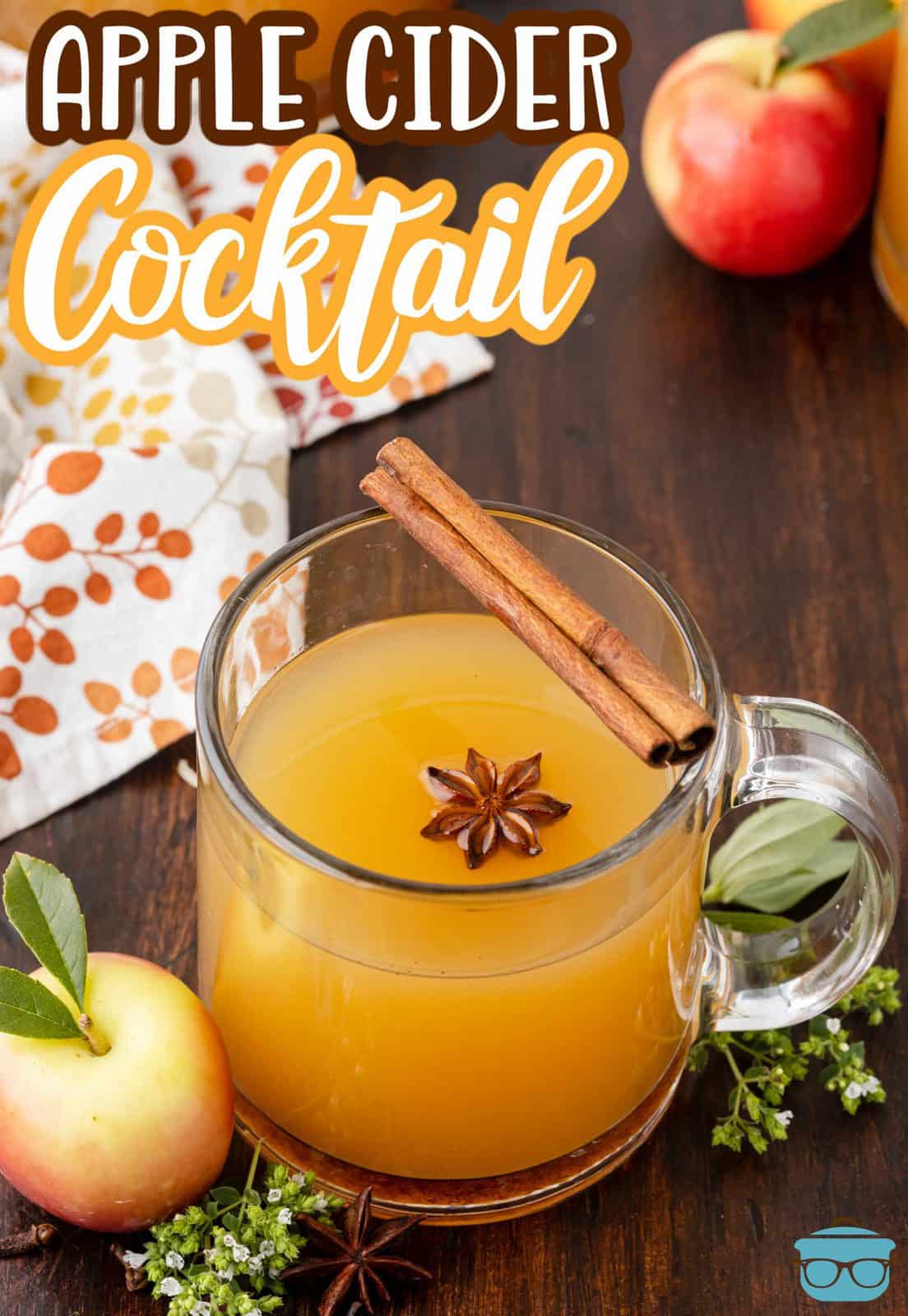 Pinterest image of Warm Apple Cider Cocktail Recipe in handled glass with cinnamon stick and star anise.