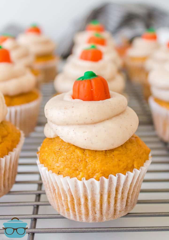 Homemade Pumpkin Cupcakes close up on wire rack.