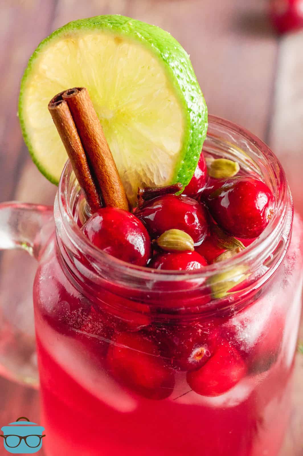 Close up of top of glass of Cranberry Wine Spritzer showing garnishes.
