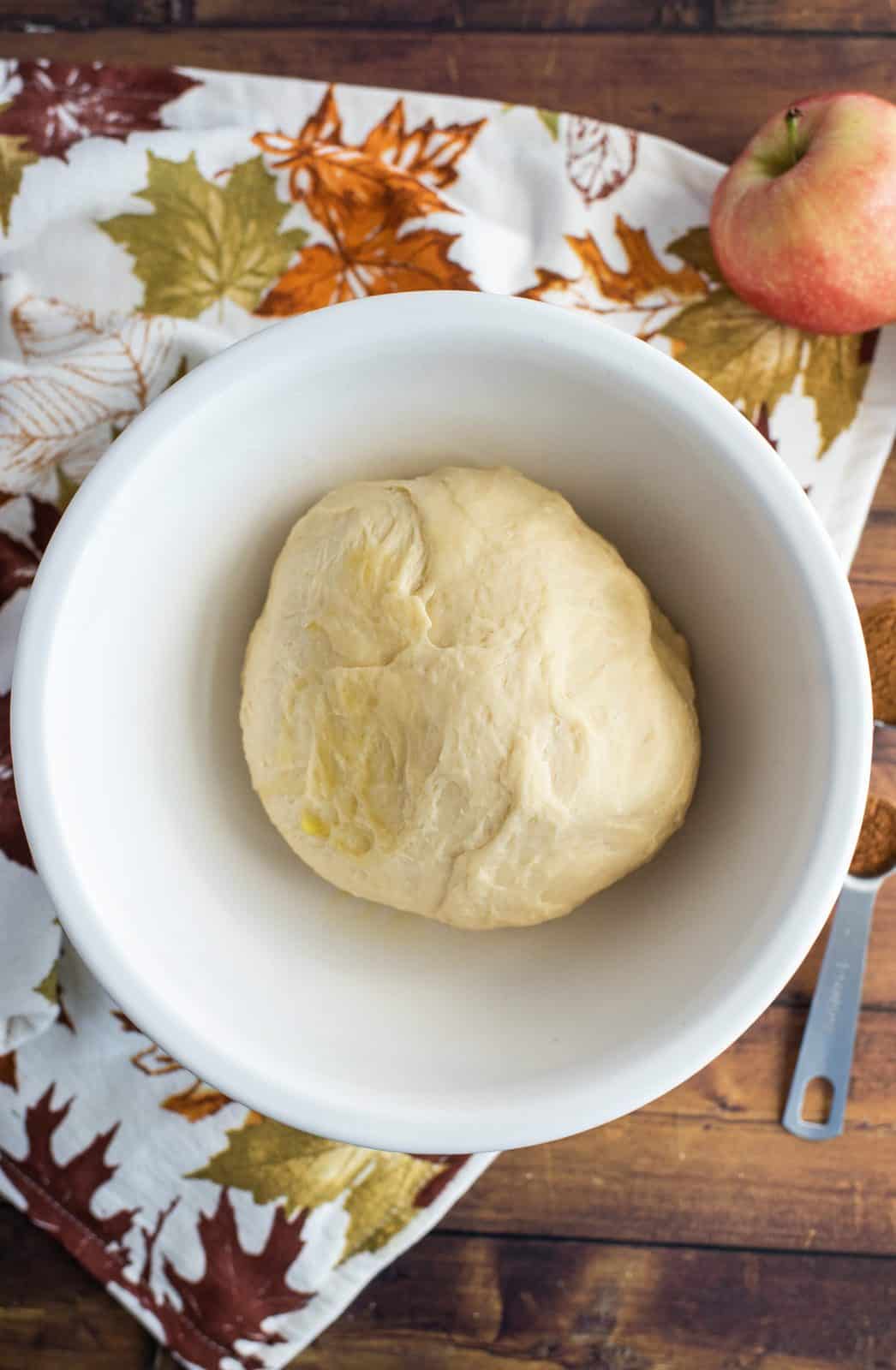 Dough ball in bowl before rising.