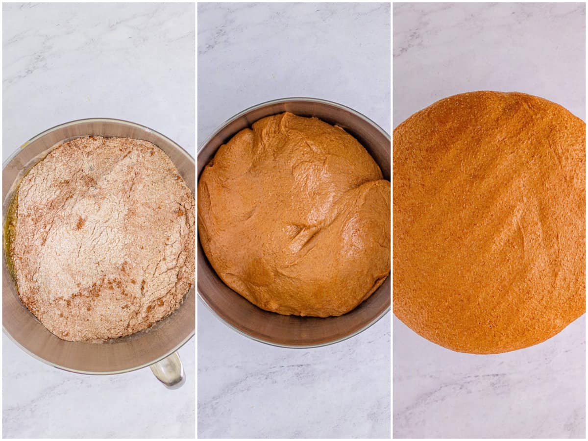 collage of three photos: flour mixture added to wet ingredients; bread dough in bowl of stand mixer finished being combined; overhead photo of risen bread dough in bowl of stand mixer.
