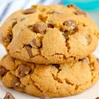 Square image of two Big, Fat, Chew Chocolate Chip Cookies.