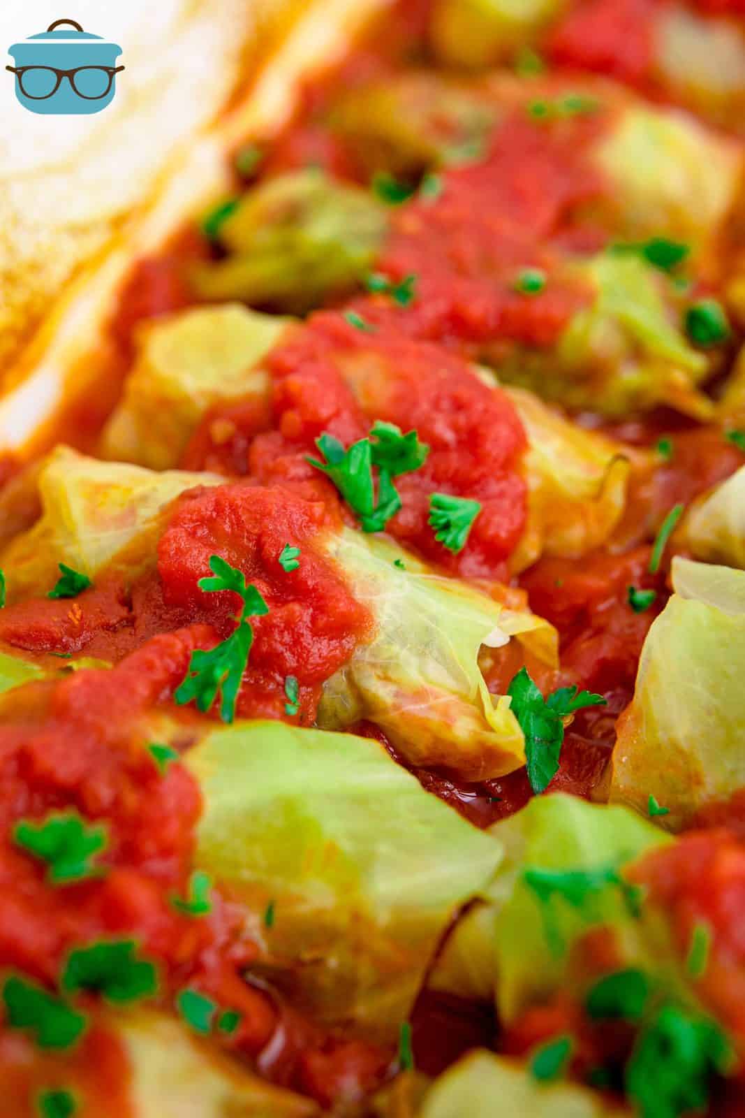 Cabbage Rolls in baking dish with tomato sauce on top.