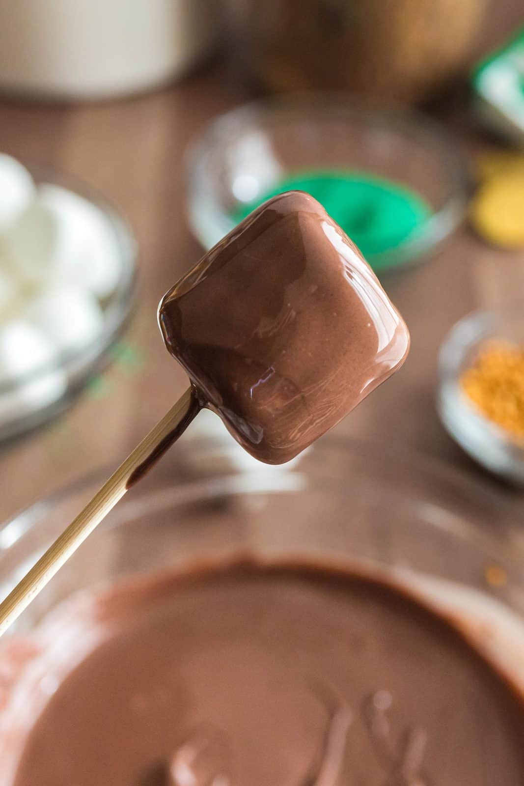 Marshmallow on stick dipped in melted chocolate.