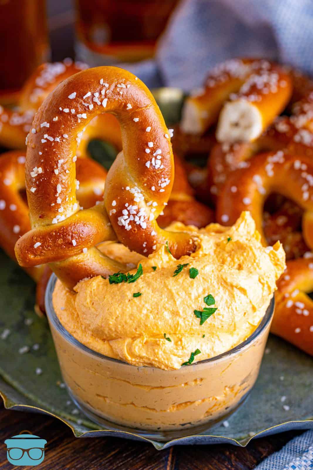 One pretzel sticking out of bowl of Beer Cheese Dip.