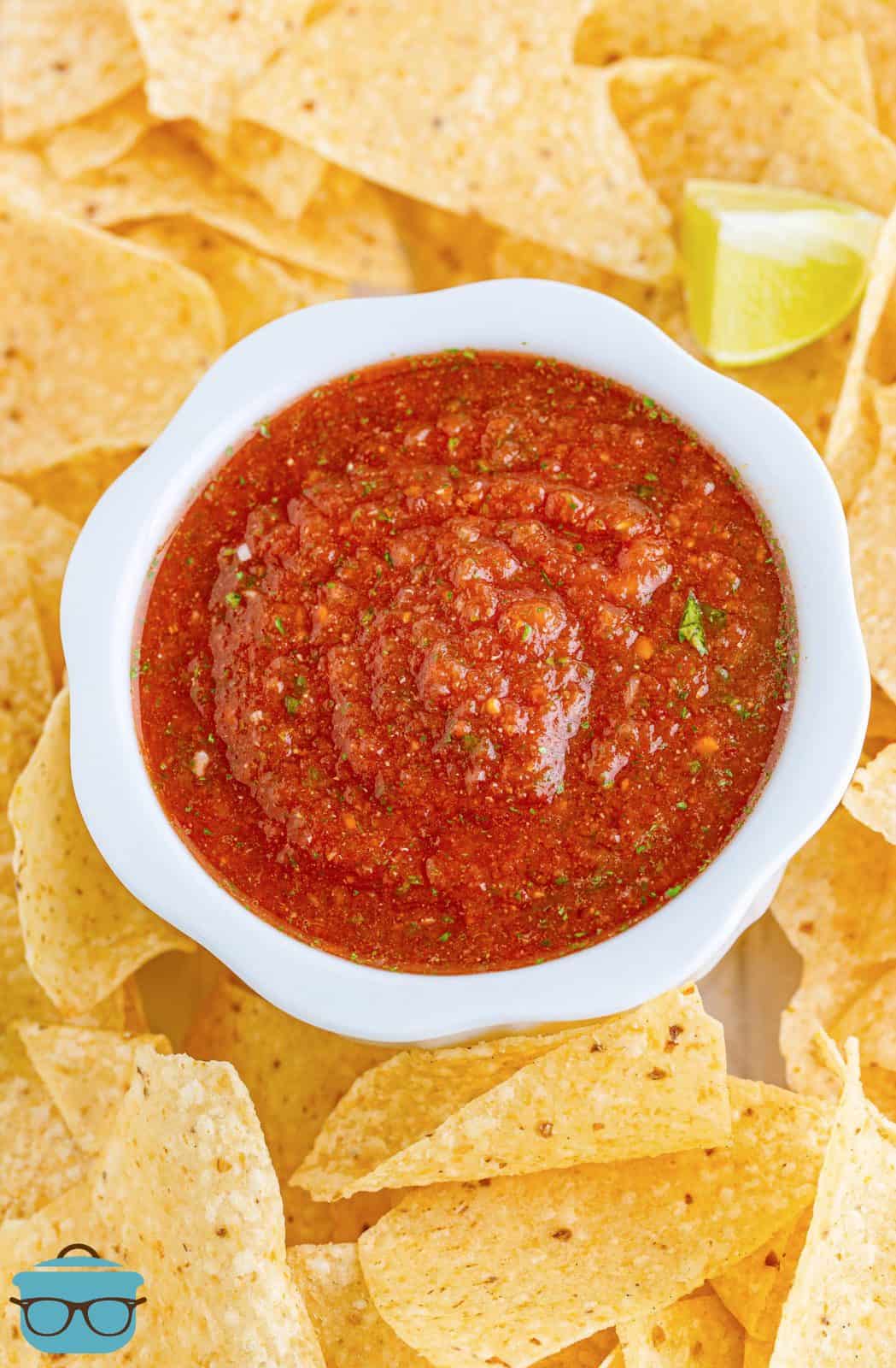 Overhead of Blender Salsa in white bowl surrounded by chips.