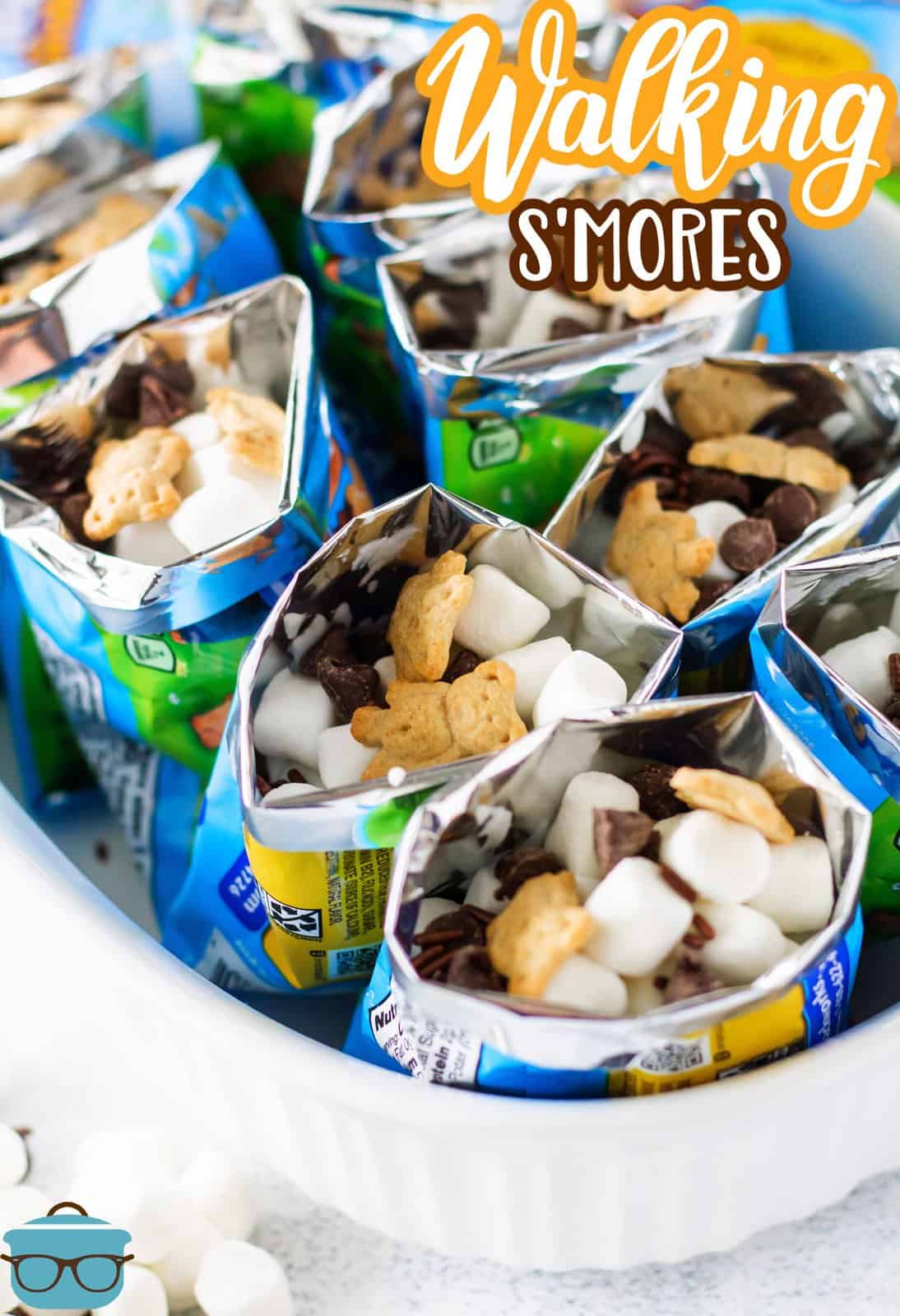 Pinterest image of inside of bags filled with ingredients for the Walking S'mores.