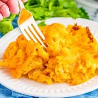Square image of Air Fryer Mac and Cheese with fork going into it.