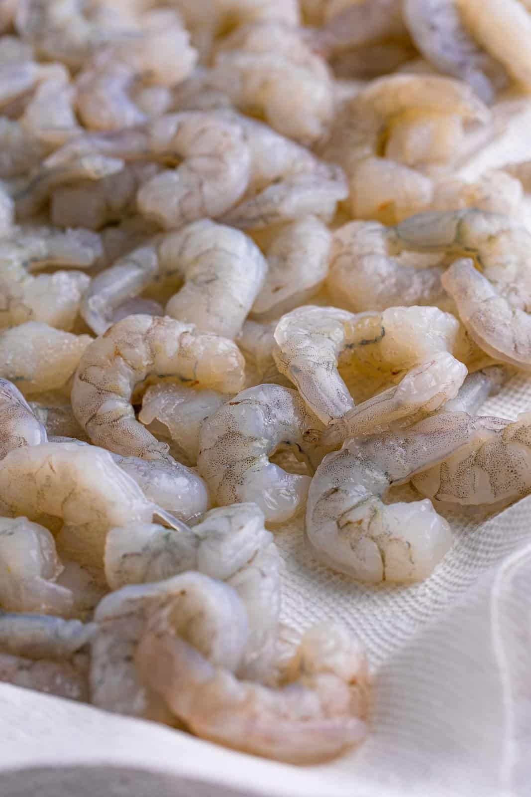 Shrimp being dried on paper towels.