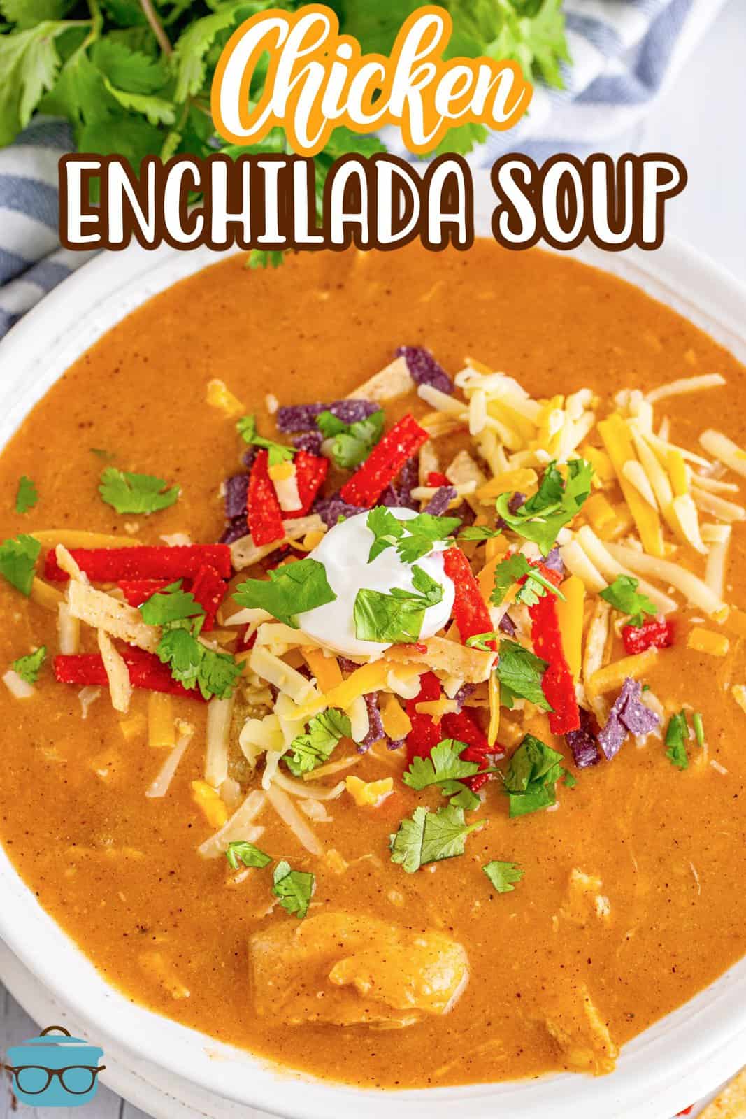 Pinterest image overhead of bowl of Chicken Enchilada Soup, garnished.