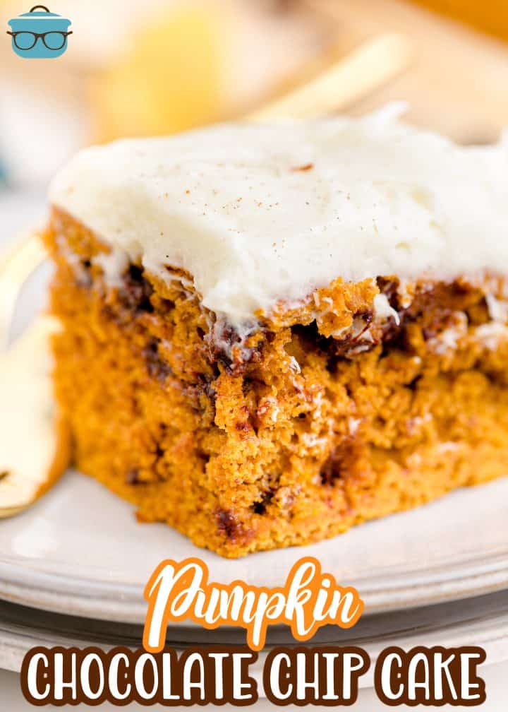 Pumpkin Chocolate Chip Cake - The Country Cook