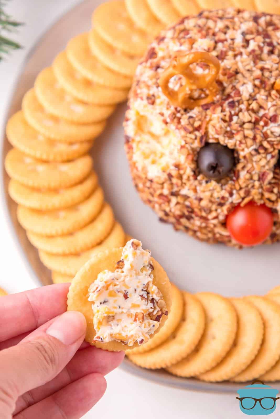 Hand holding up a cracker with some of the Rudolph Cheeseball on it.