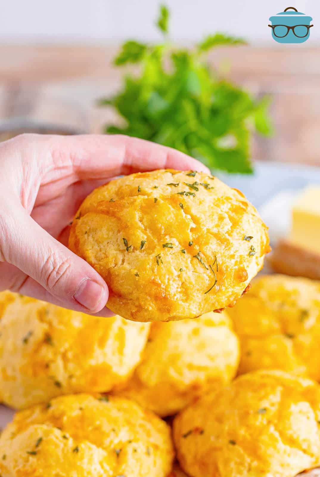 A hand holding a cheddar biscuit.