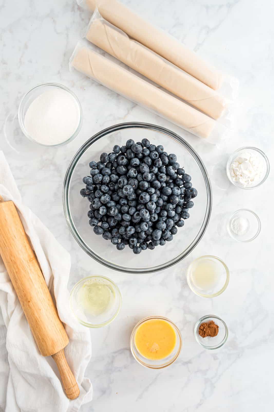 Blueberries, pie crust, lemon juice, cornstarch, sugar, ground cinnamon, salt, egg white, egg, and coarse sanding sugar.