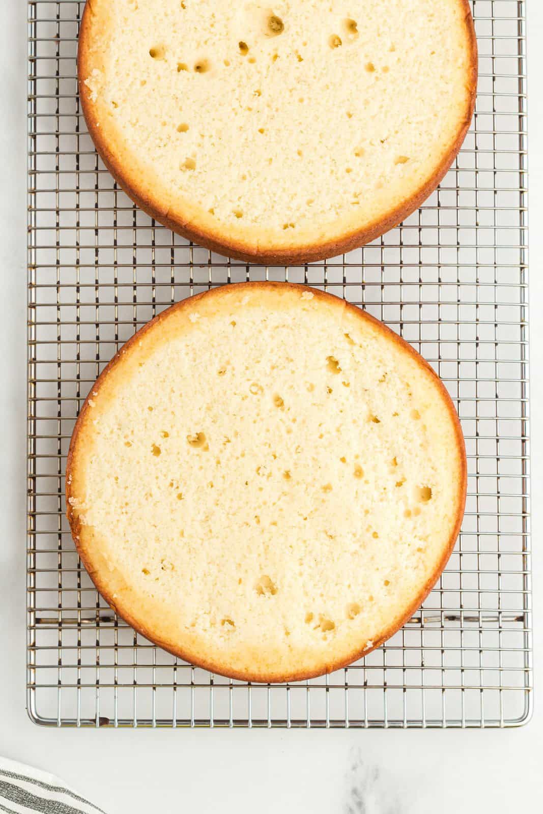 Two white cakes with the tops cut off so they're level.