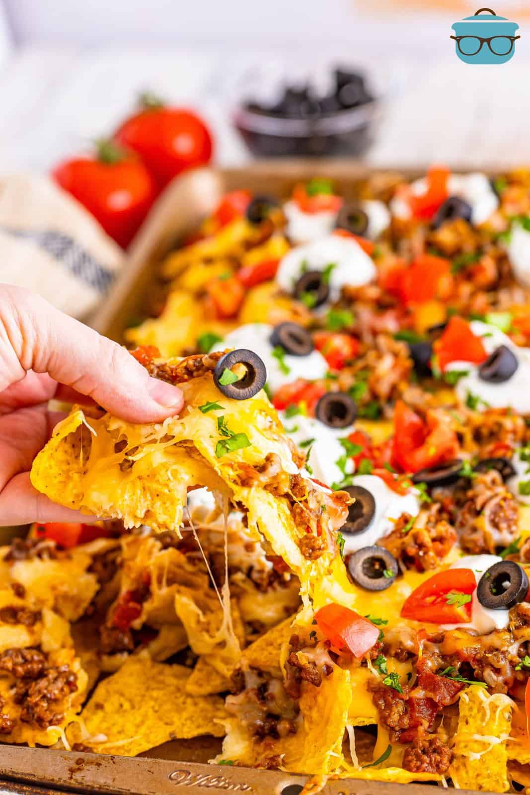 A hand holding a loaded nacho. 