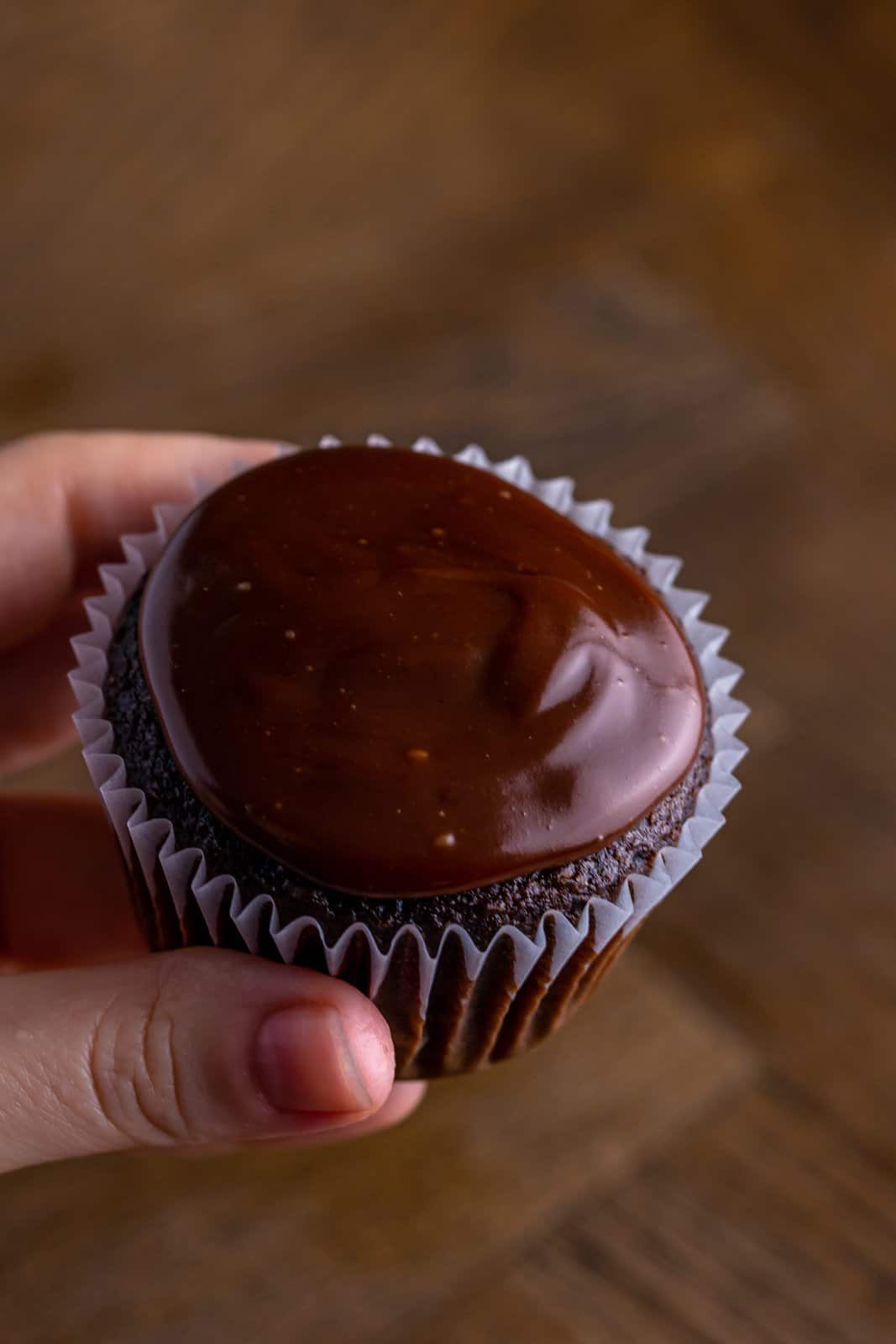 Chocolate cupcakes with chocolate ganache on top.