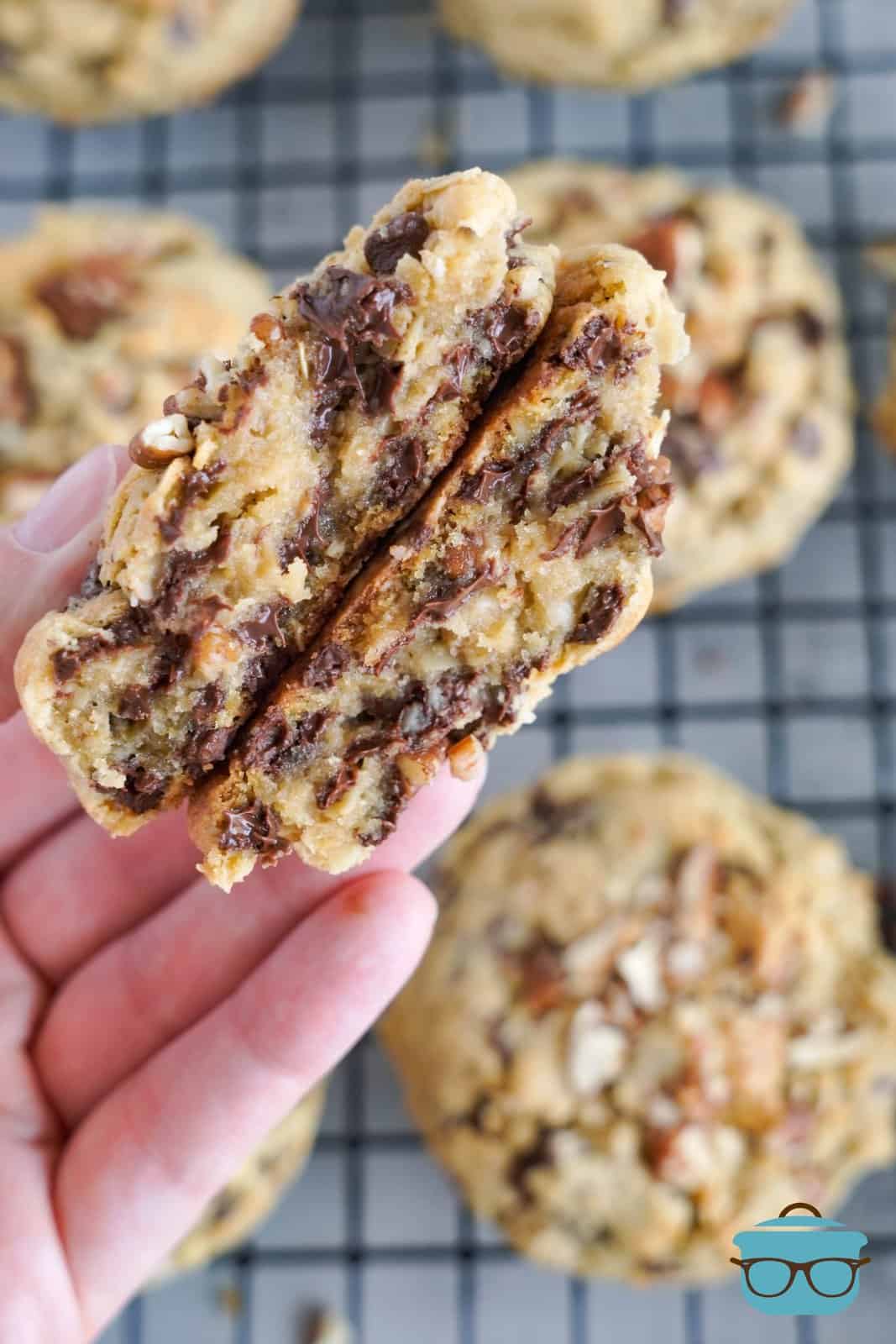 An Oatmeal Chocolate Chip Cookie broken in half with a hand holding it.