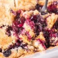 Close up looking at a bite of Blueberry Dump Cake.