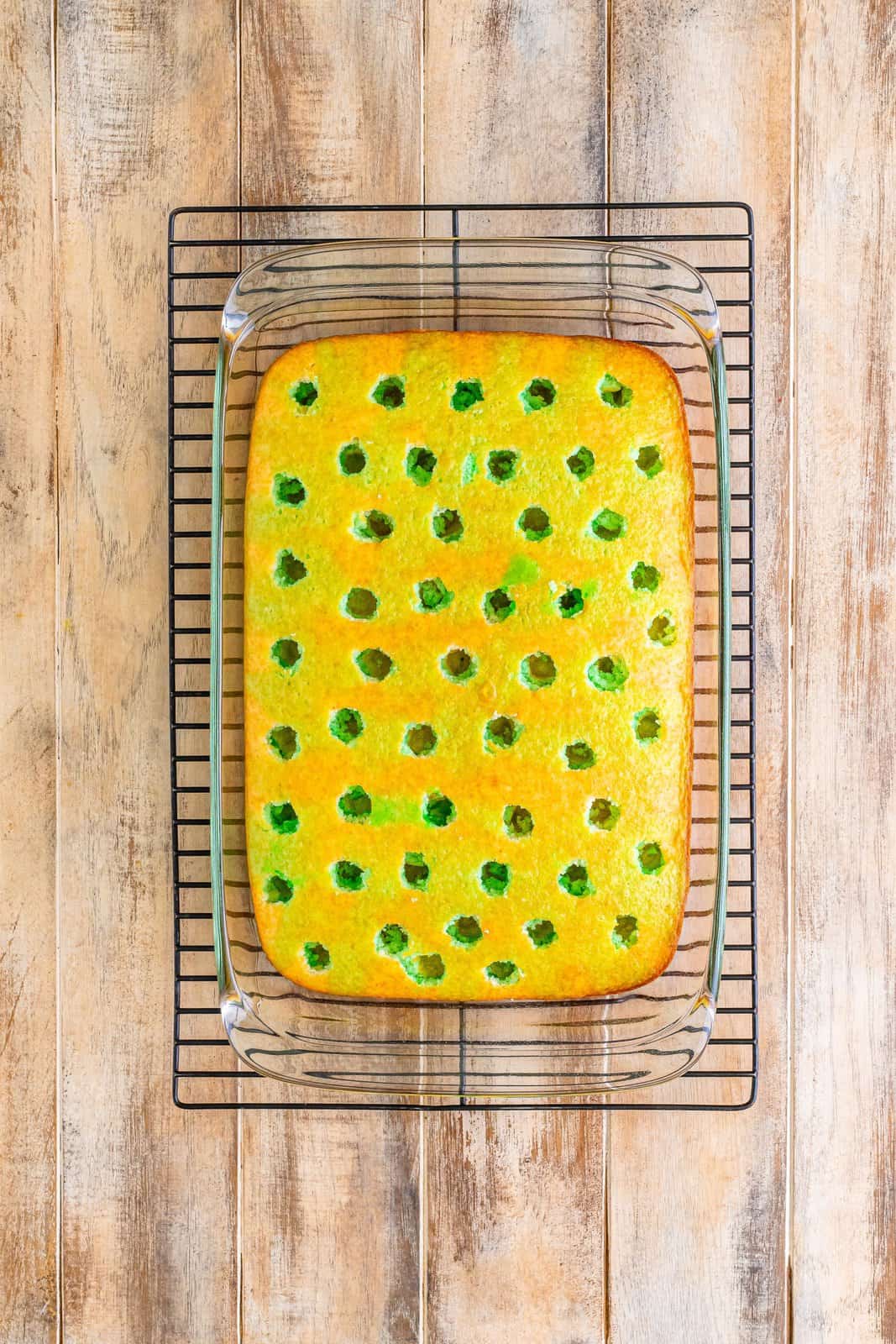 A white cake with holes and lime jello in the holes. 