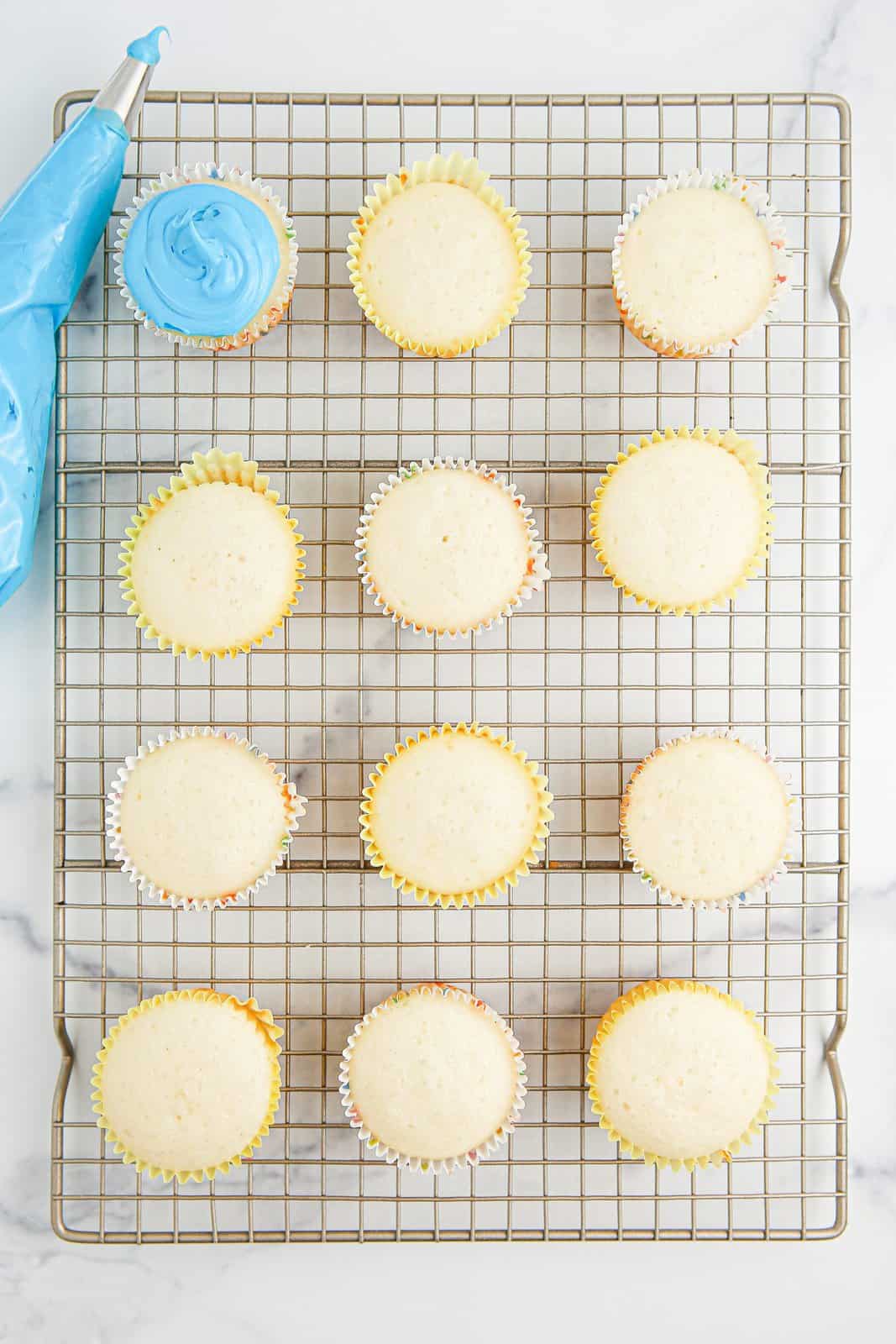 Cupcakes with one with blue frosting and a bag of frosting.