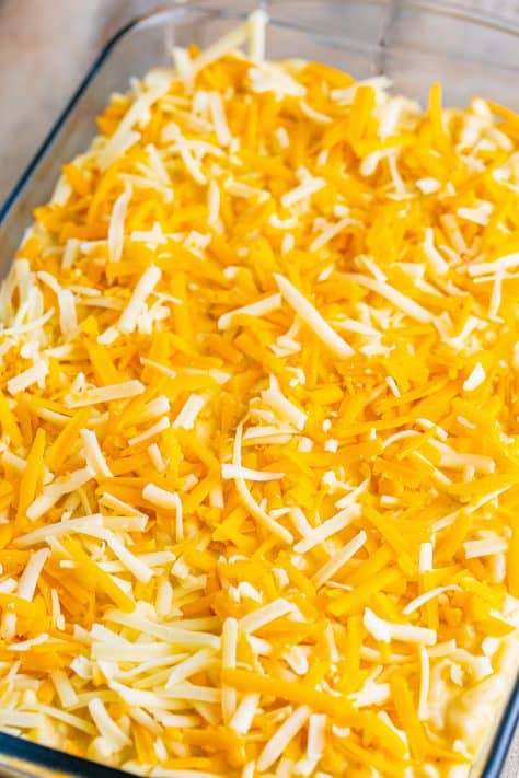 Shredded cheese on top of mac and cheese.