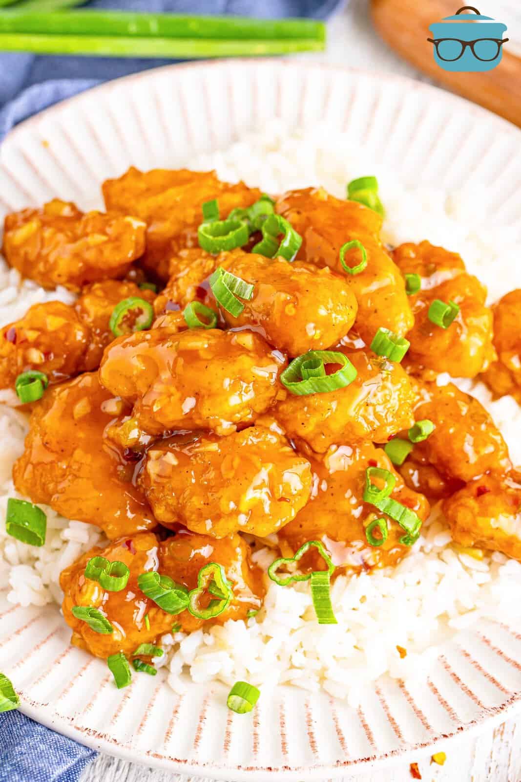 A white plate with white rice and Honey Garlic Chicken.