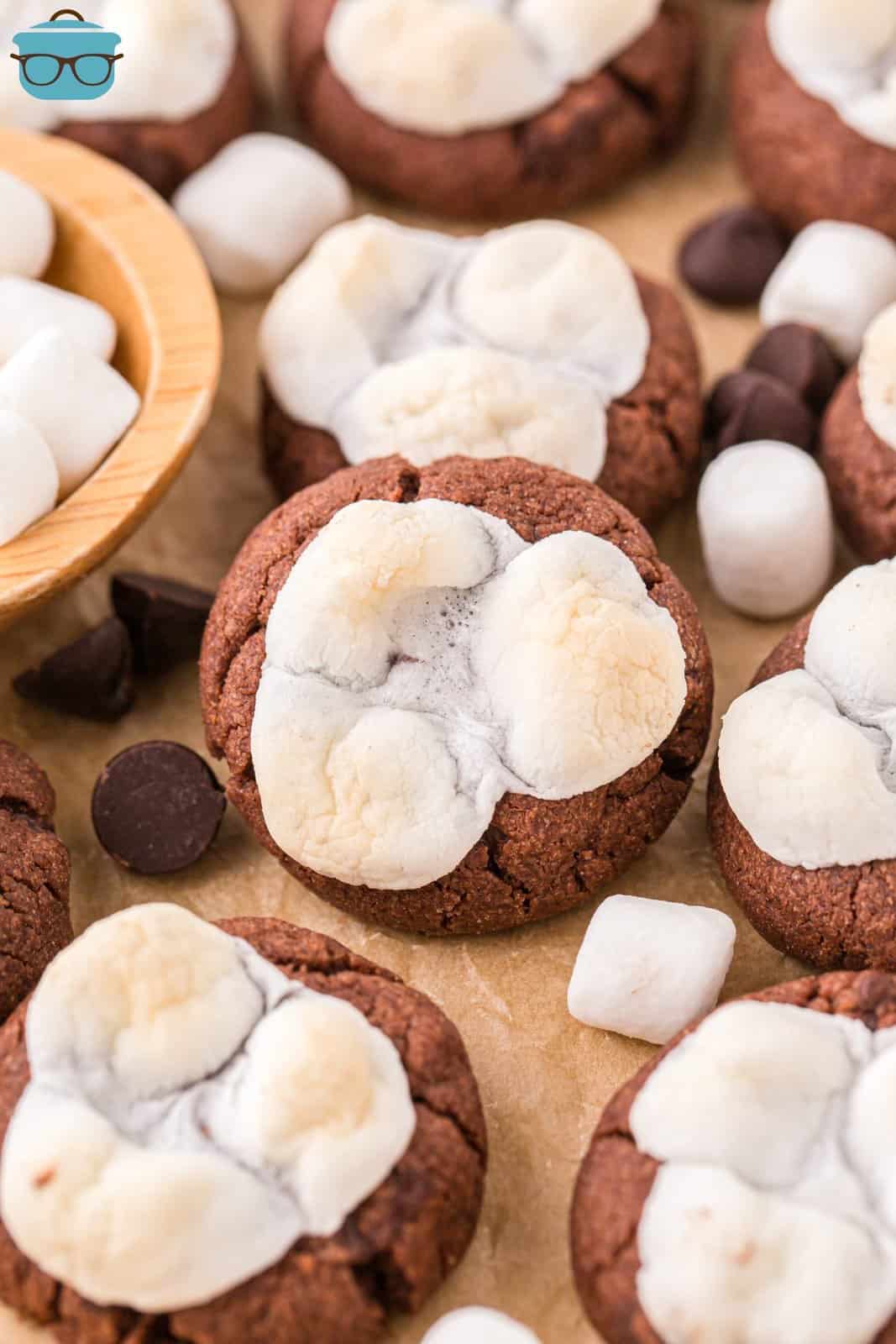 Looking down on a few Hot Chocolate Cookies with toasted marshmallows on top.