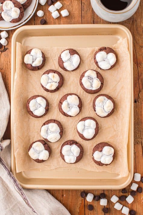 Marshmallows on top of chocolate cookies.