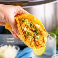 Shredded chicken in a corn tortilla taco being held by a hand.