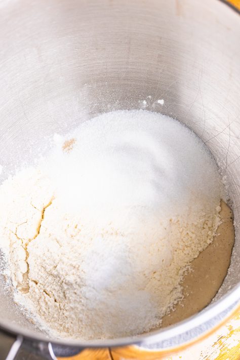 Water, yeast, flour, sugar, and salt in a mixing bowl.