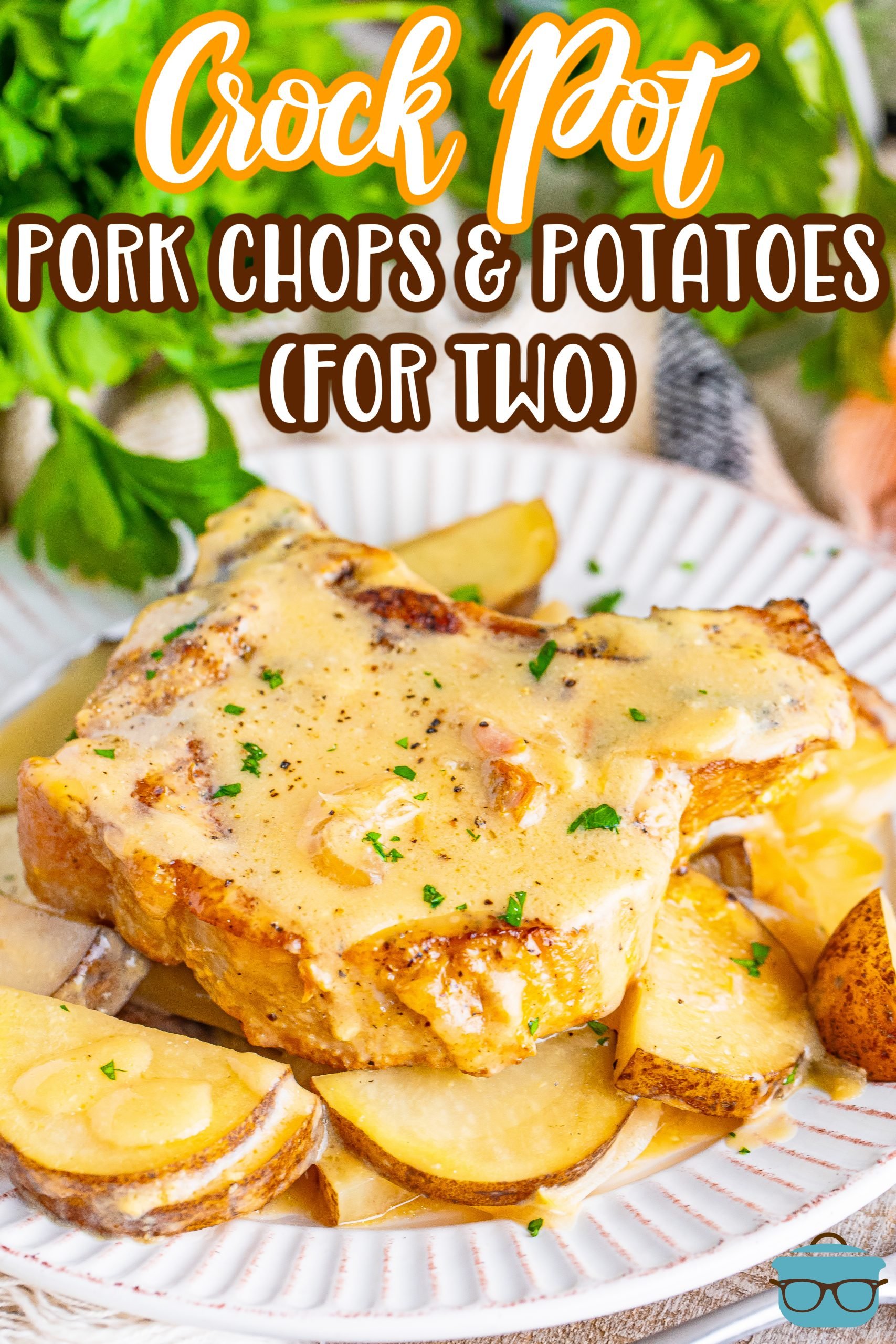 A plate with Slow Cooker Pork Chops with Potatoes for two.