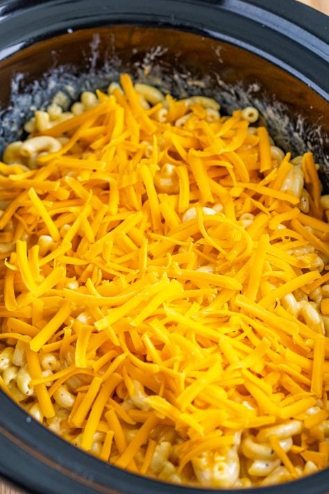 shredded cheese sprinkled on top of macaroni and cheese in crock pot.