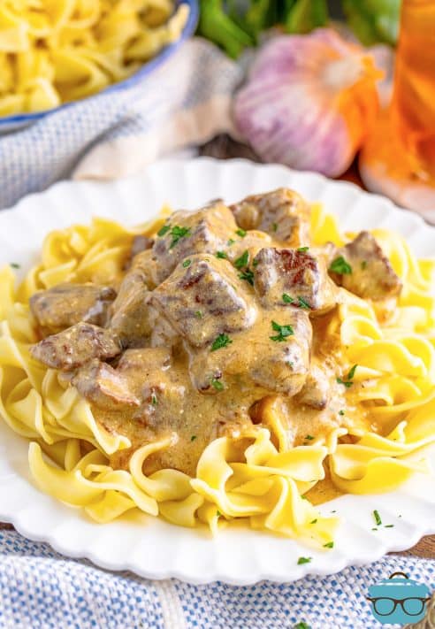A plate with a large serving of Beef Stroganoff made in the Crock Pot.