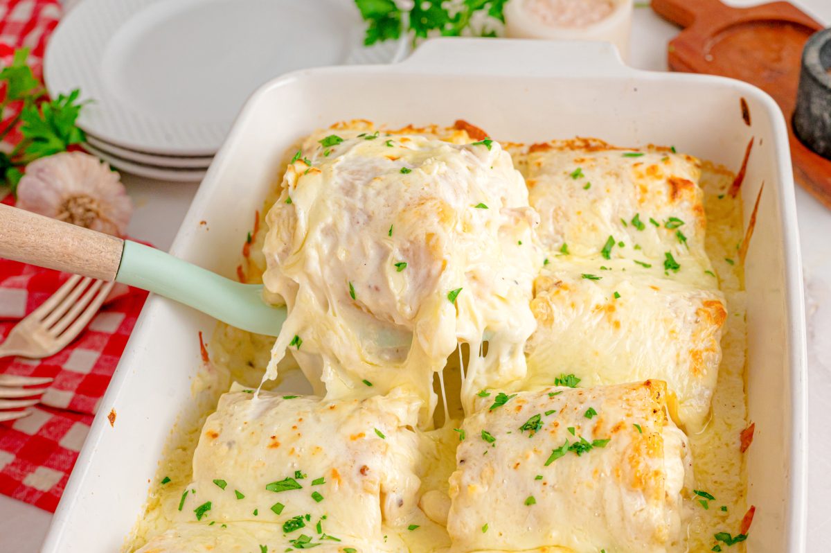 Chicken Alfredo Lasagna Rollups - The Country Cook