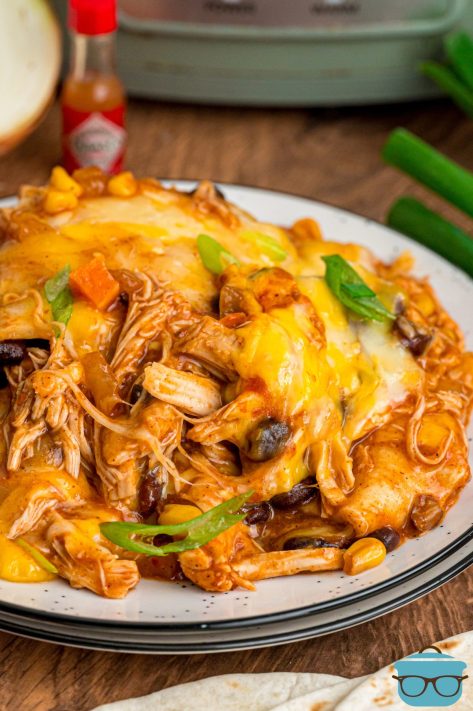 A plate of filling Crock Pot Enchilada Casserole.