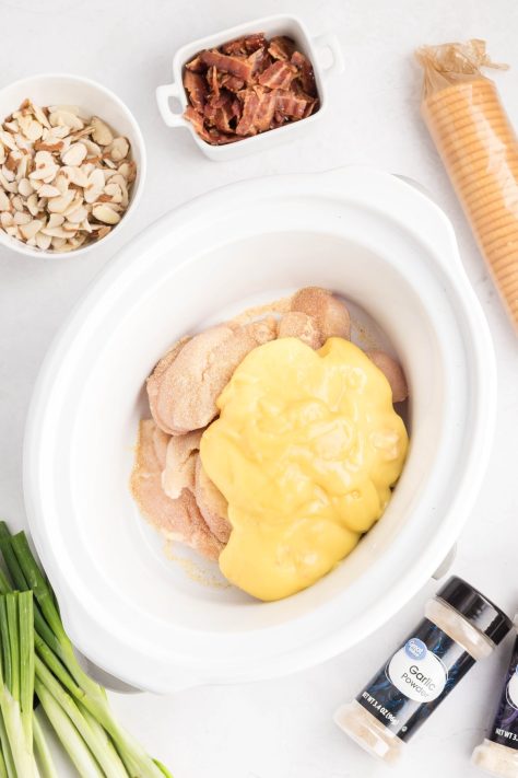A Crock Pot with chicken, onion powder, garlic powder, and cream of chicken soup.