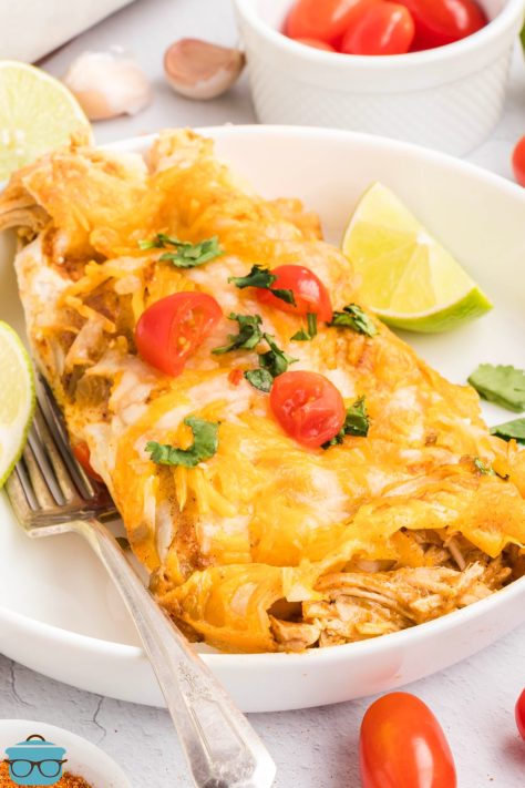 A plate with a full Green Chile Chicken Enchilada with garnishes on top.