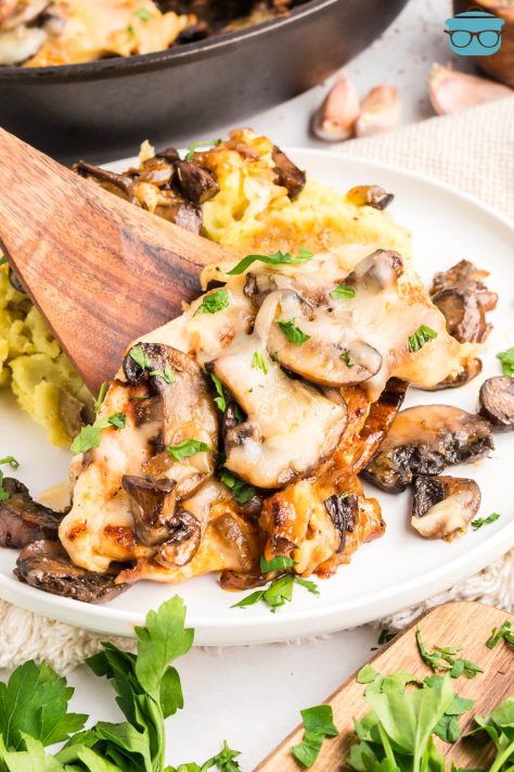 Some Texas Roadhouse Smothered Chicken being plated on a dinner plate.