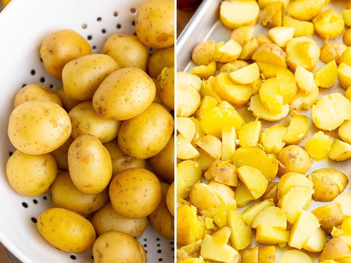 Cooked potatoes in a strainer and cut up potatoes on a sheet pan.