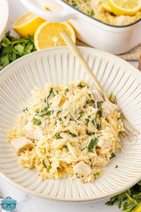 A plate of Lemon Chicken and Orzo.