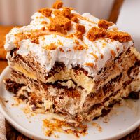 Biscoff Ice Cream Sandwich Cake recipe.